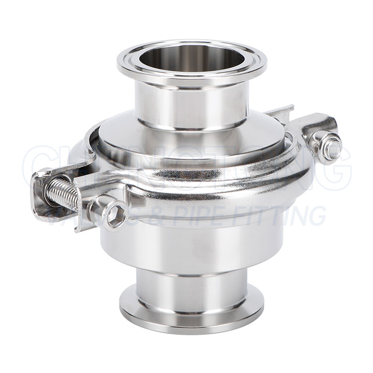 Quick installation check valve
